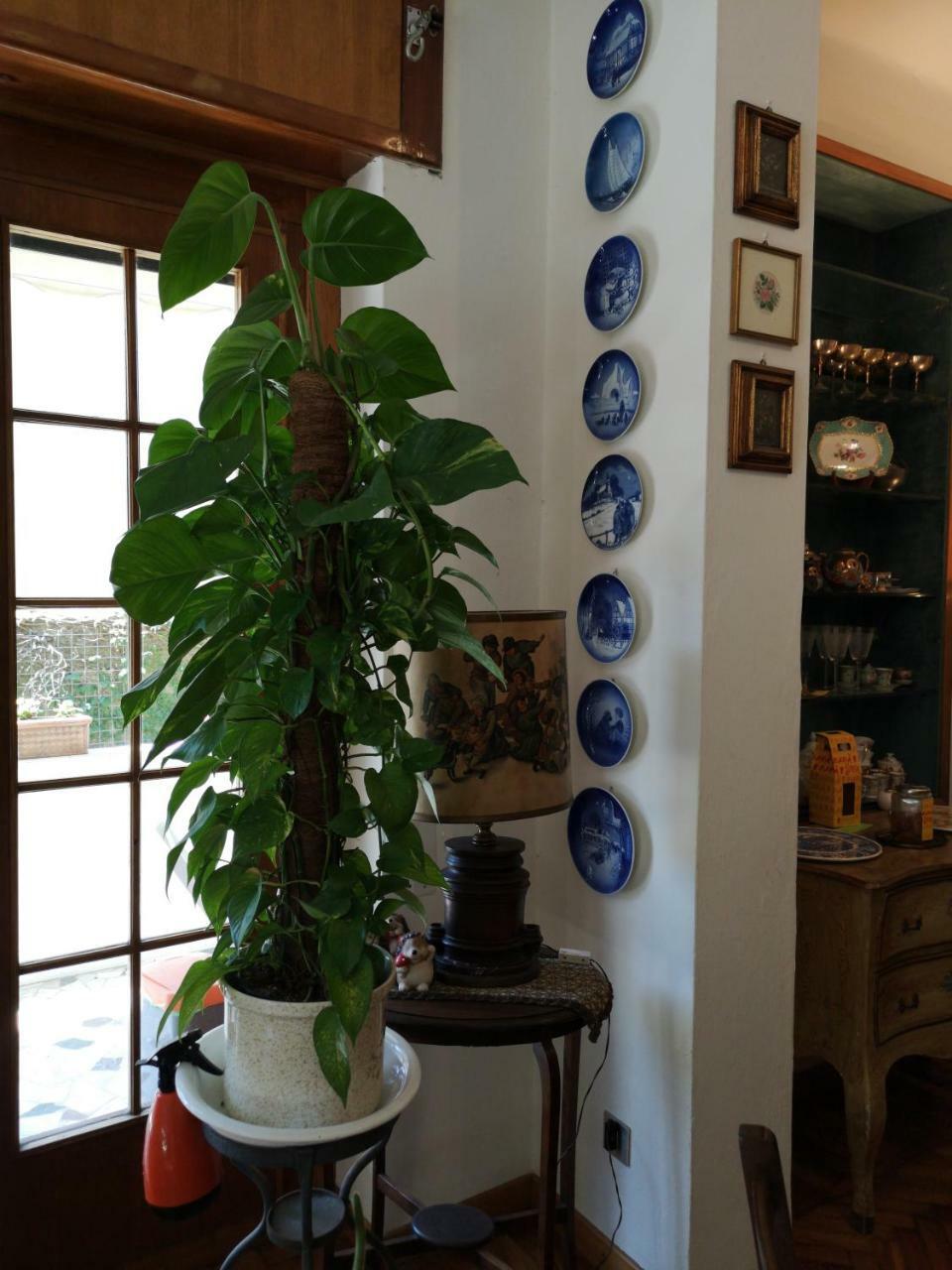 Wanderlust Bnb Piza Zewnętrze zdjęcie
